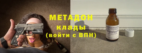 прущие грибы Алзамай