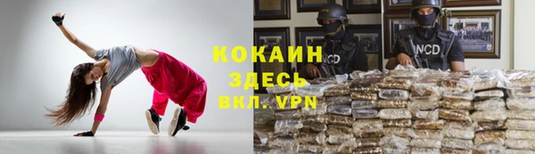 прущие грибы Алзамай