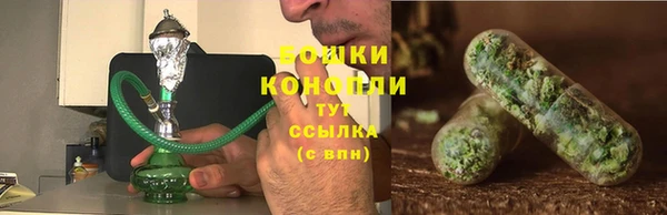 ГАЛЛЮЦИНОГЕННЫЕ ГРИБЫ Алексин