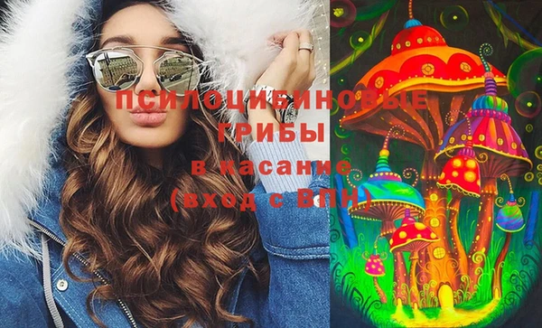 ГАЛЛЮЦИНОГЕННЫЕ ГРИБЫ Алексин