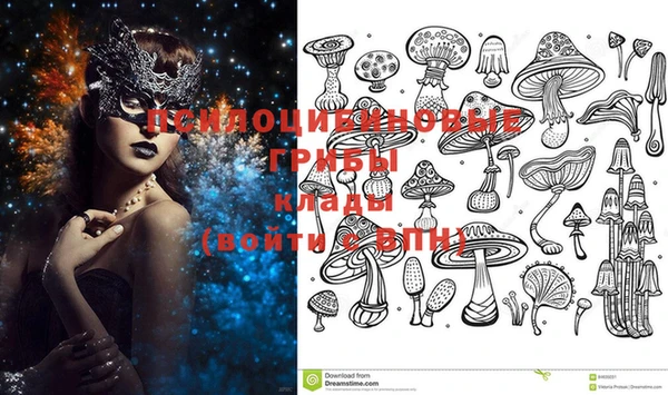 стафф Нея