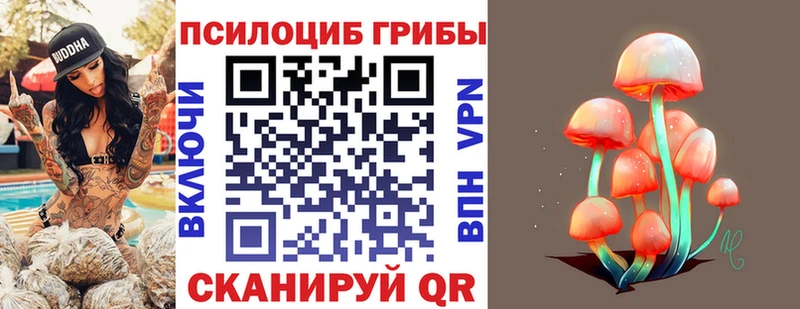гидра рабочий сайт  Ахтубинск  Псилоцибиновые грибы Psilocybe  наркошоп 